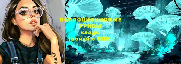 мет Краснослободск