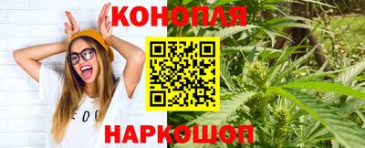 ешки Абакан