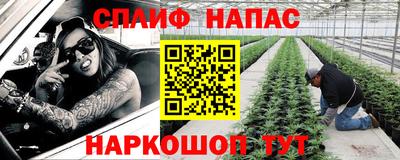 бошки Бийск