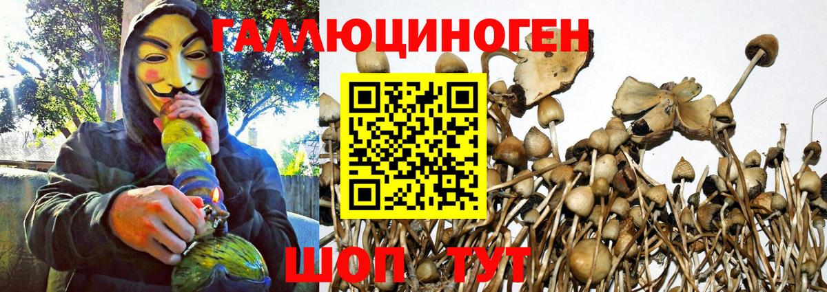 купить наркоту  Вход с VPN  Псилоцибиновые грибы MAGIC MUSHROOMS  Обнинск  Псилоцибиновые грибы Magic Shrooms 