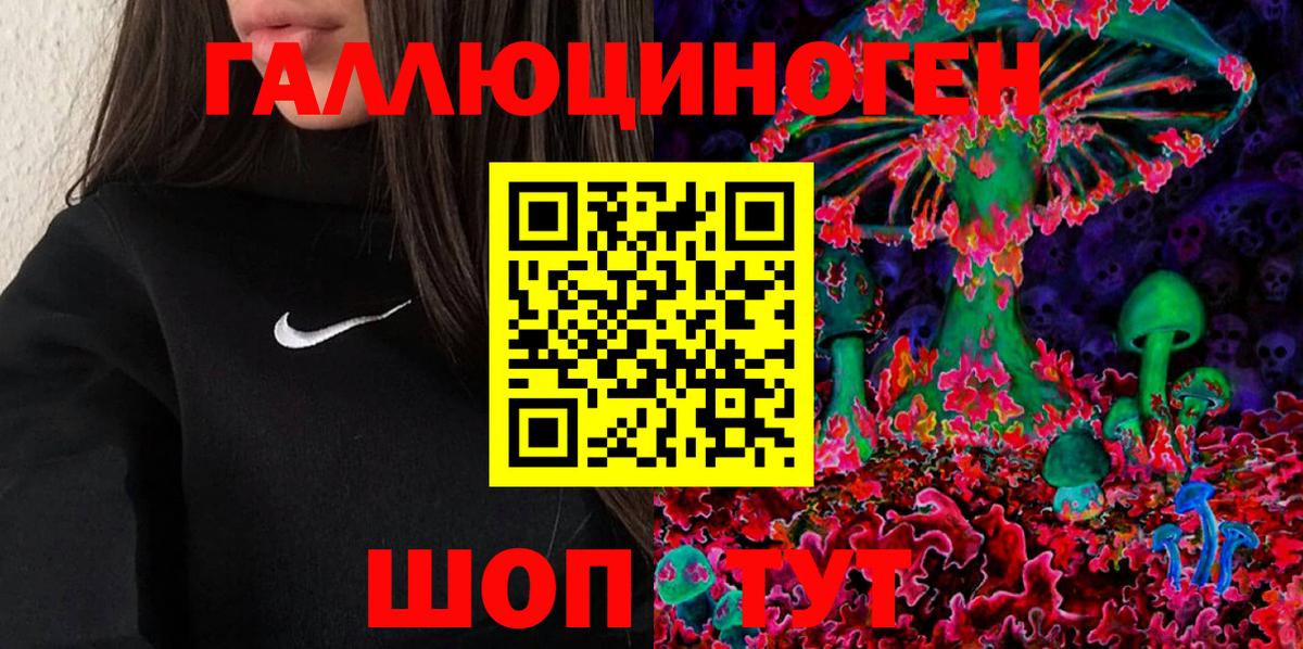 Псилоцибиновые грибы мицелий Обнинск